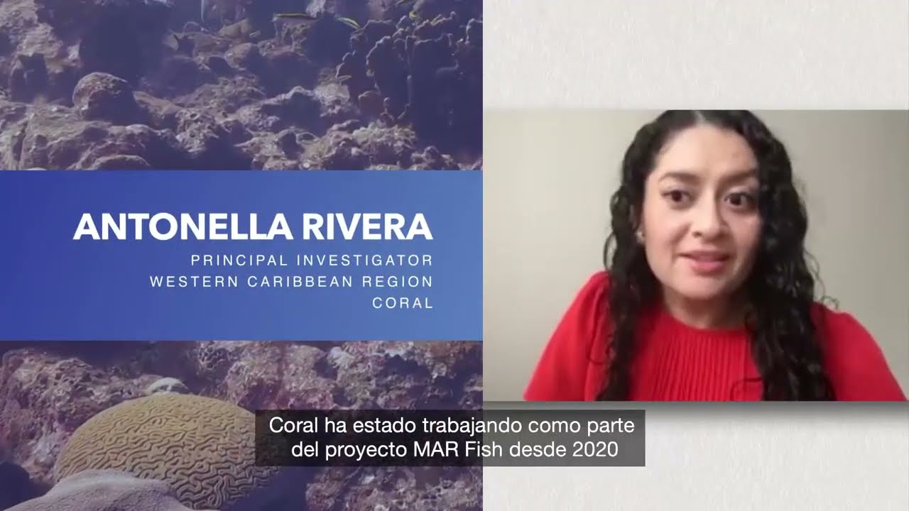 Meet our MAR Fish partner CORAL