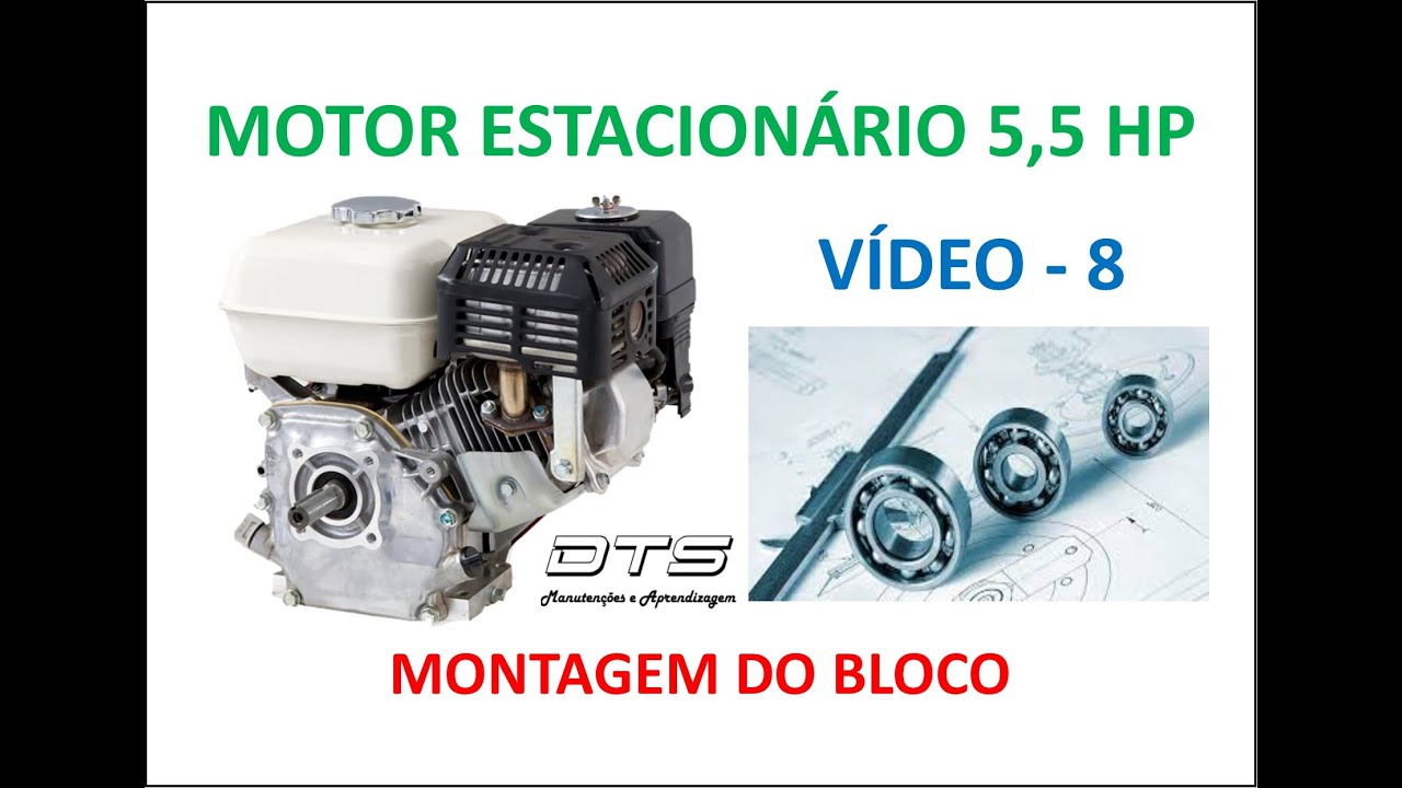 DTS - Motor Estacionário 5,5 HP - Montagem Bloco - Vídeo 8