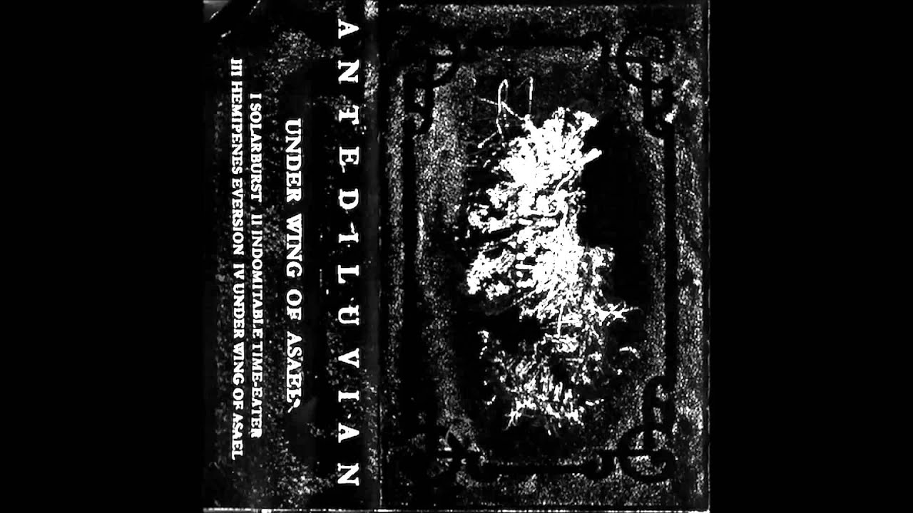 Antediluvian - Hemipenes Eversion