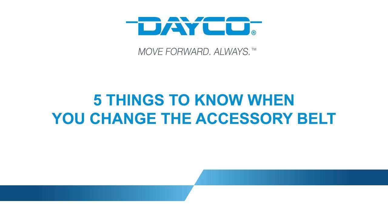 DAYCO Accessory Belt - EN