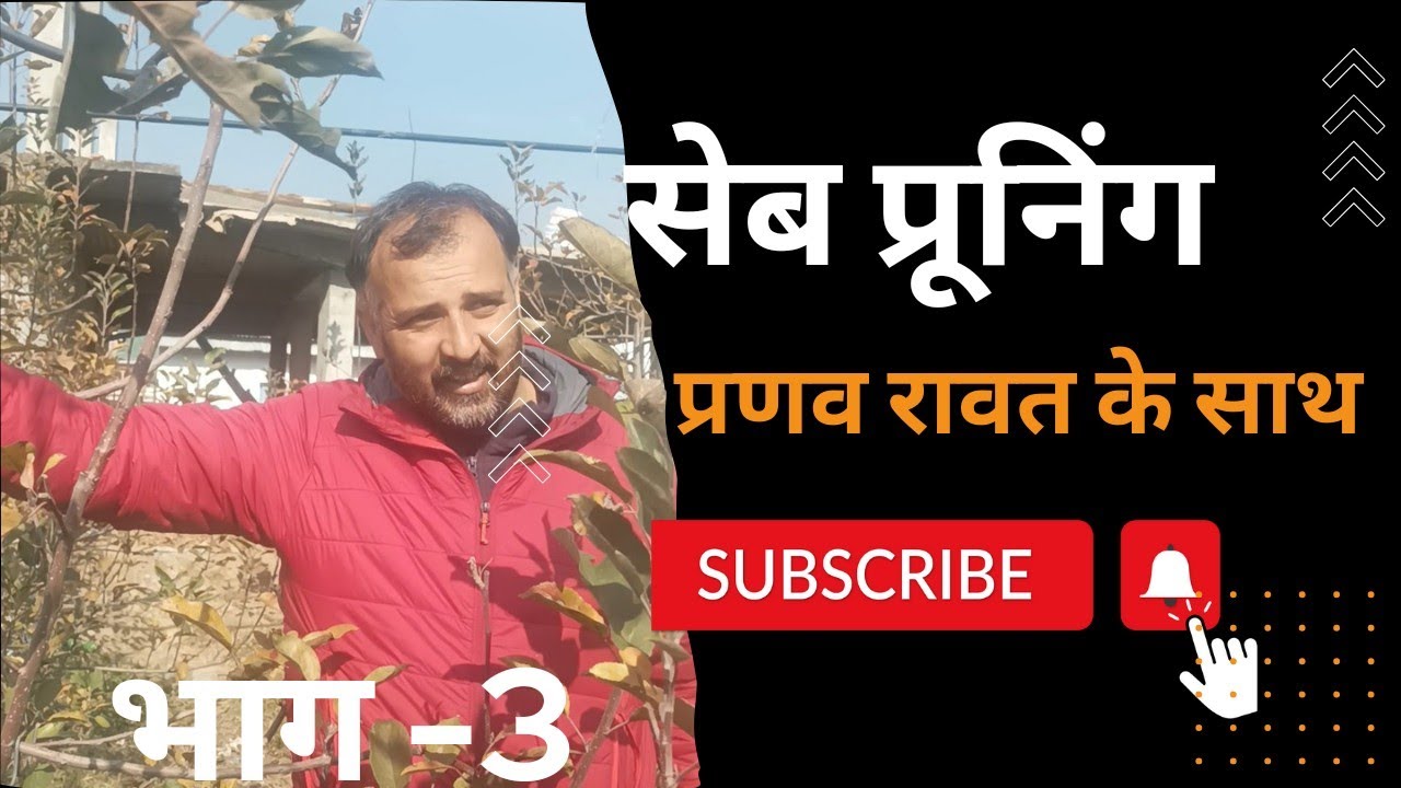 सेब की जानकारी ऐसी की दिल खुश हो गया।