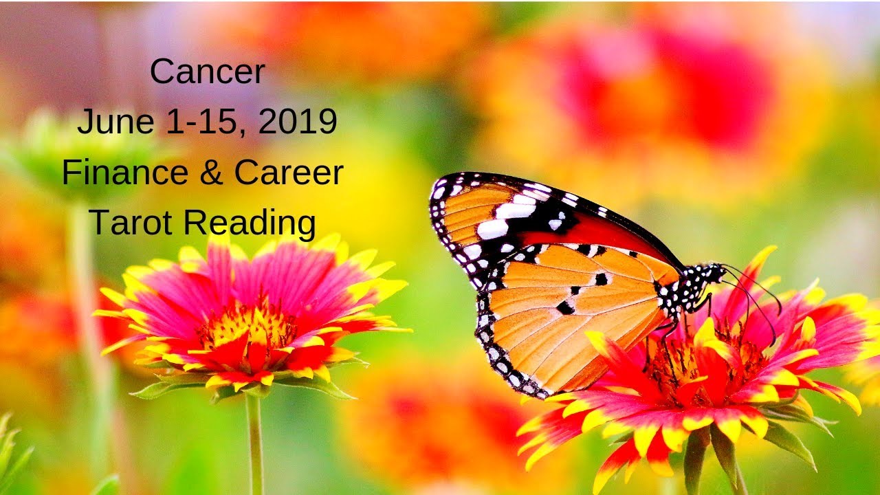 Cancer June 1-15, 2019 // You're Changing The Game // Tarot Reading