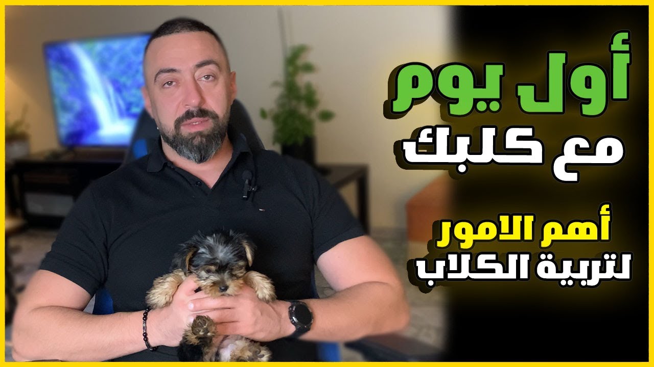 كيفية التعامل مع كلبي من أول يوم