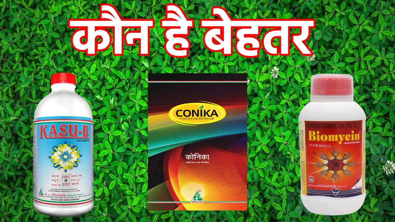 कोनिका,कासु बी,बायोमायसीन कौन है बेहतर/Conika vs Kasu b vs Biomycin