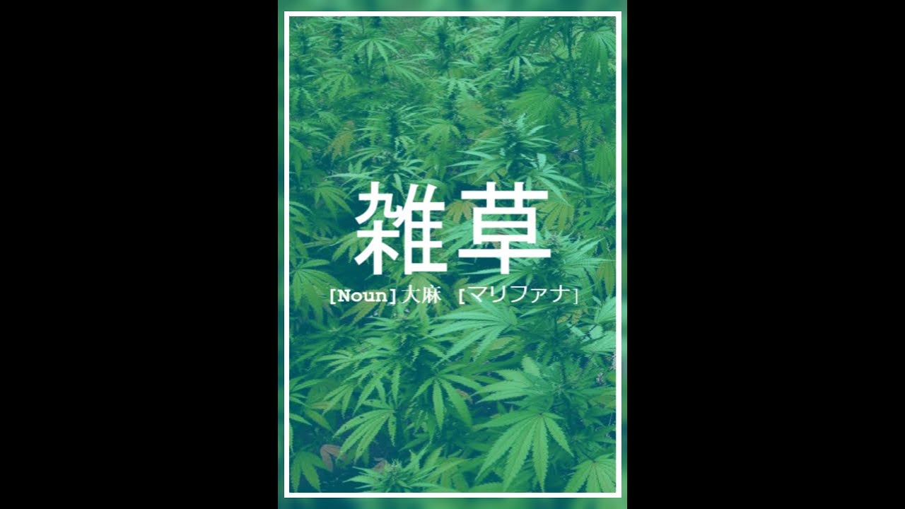 Top 10 Indica strains
