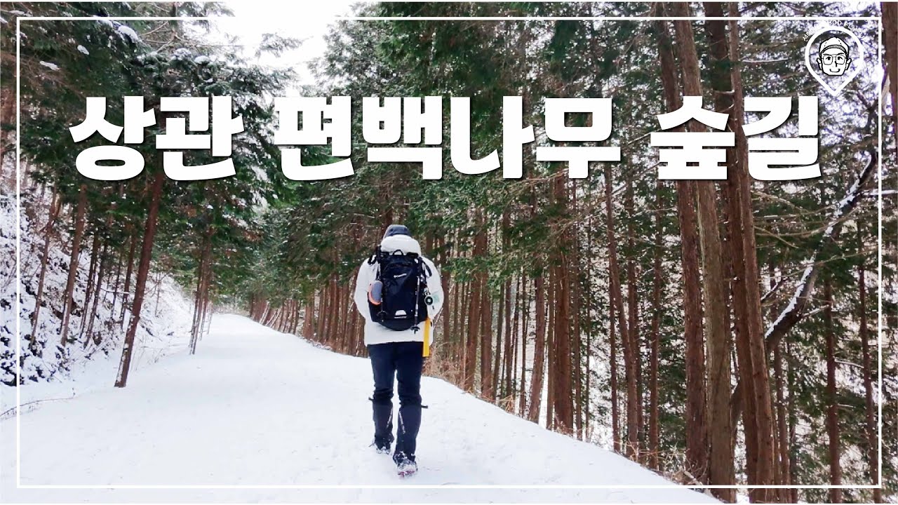 [환타스틱]상관편백나무숲길/전북천리길/순백의세상/감성트래킹/시네마틱영상/감성에세이