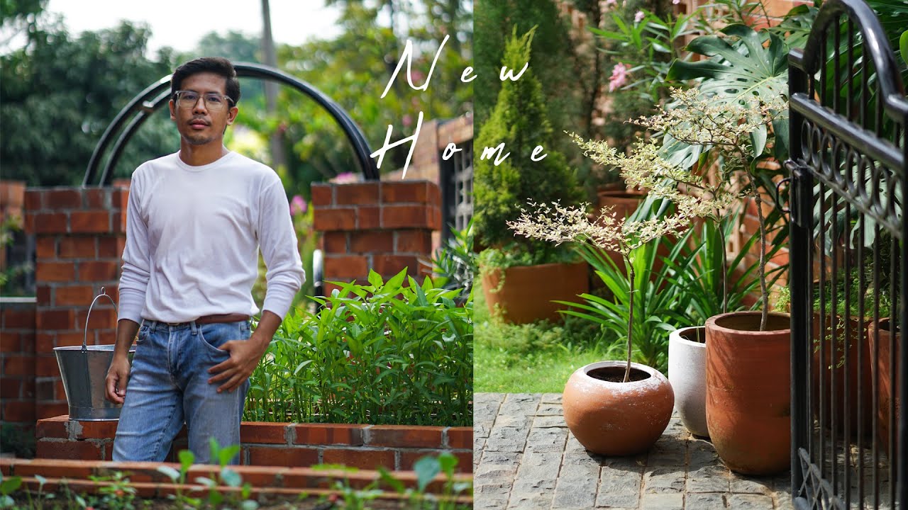 Rumah Baru | Menata Taman Rumah dan Panen Sayur Kangkung Di Raised Bed
