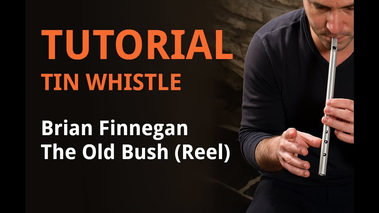 🪈 Tutorial de Tin Whistle - Brian Finnegan - The Old Bush (Reel)