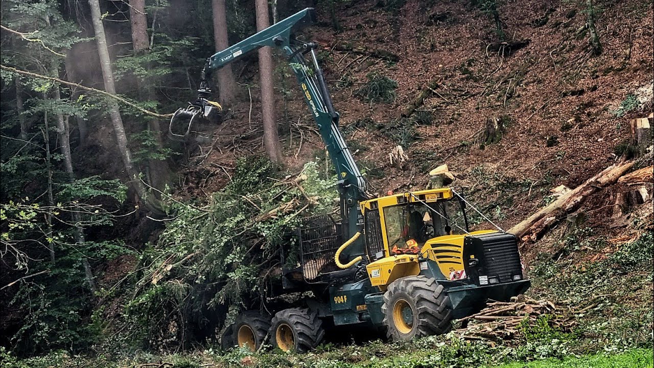 HSM 904f im Käferholz Einsatz