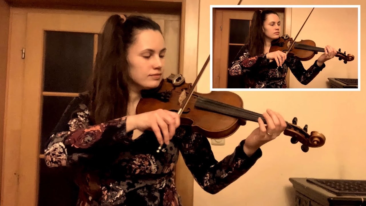 Jak začít hrát na housle v 7 krocích