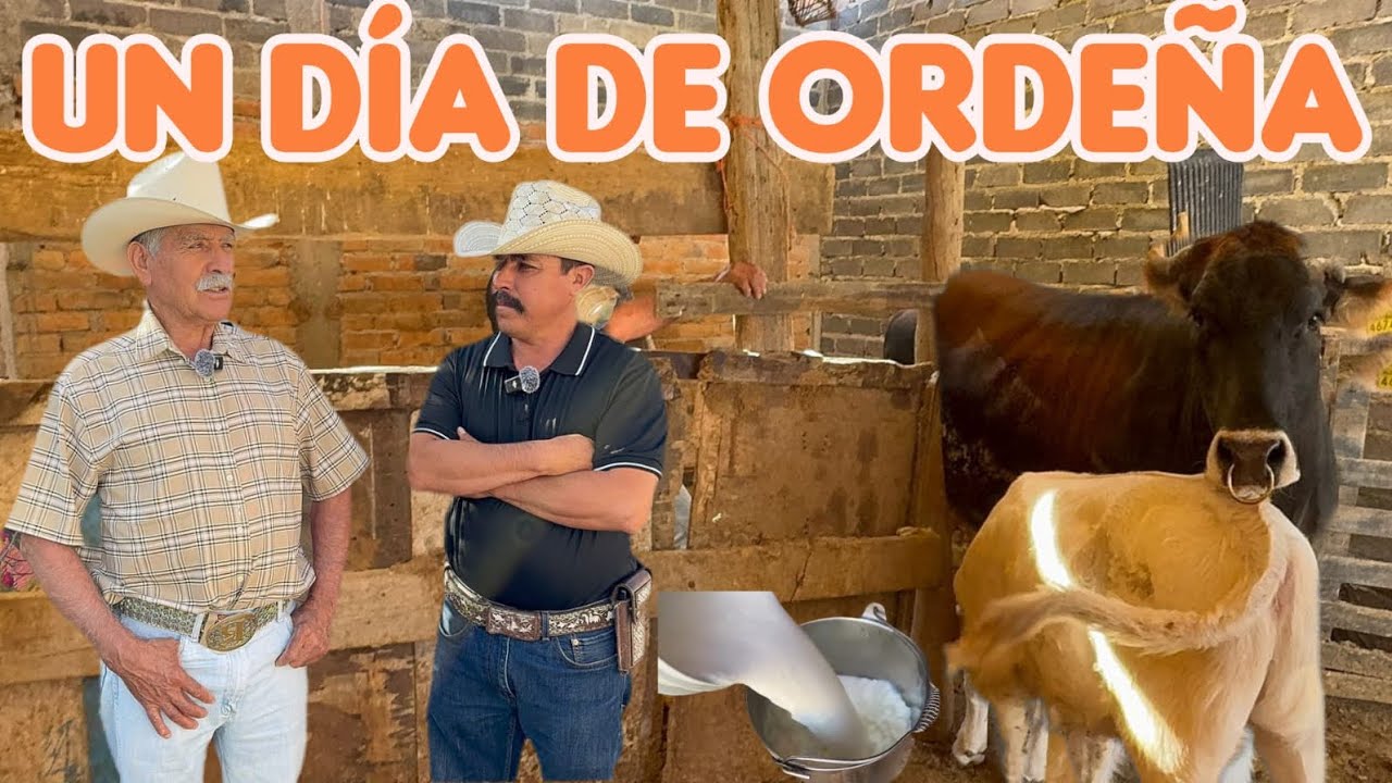 YO SALI DEL RANCHO, PERO EL RANCHO NO SALE DE MI, SIGO TRABAJANDO ENTRE LOS ANIMALES.🤠🇲🇽😉🐂🤠