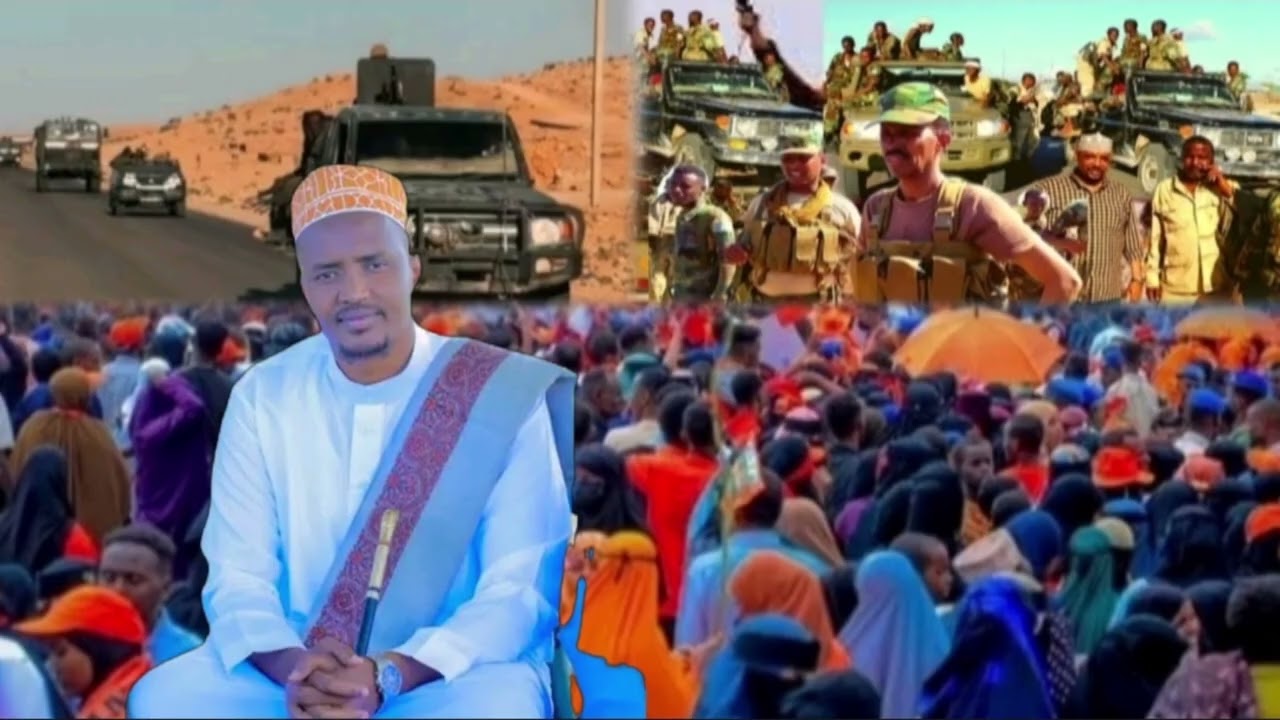 DAG DAG DAGALKA KADHAX ABABULEYSO SOMALILAN IYO GADABURSI DHULKODA IYO CIISE WARARKA