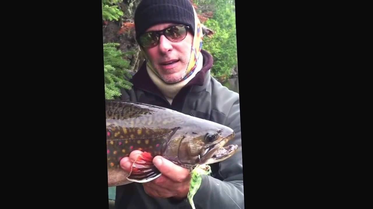 Streamer fishing For Trophy Brook Trout