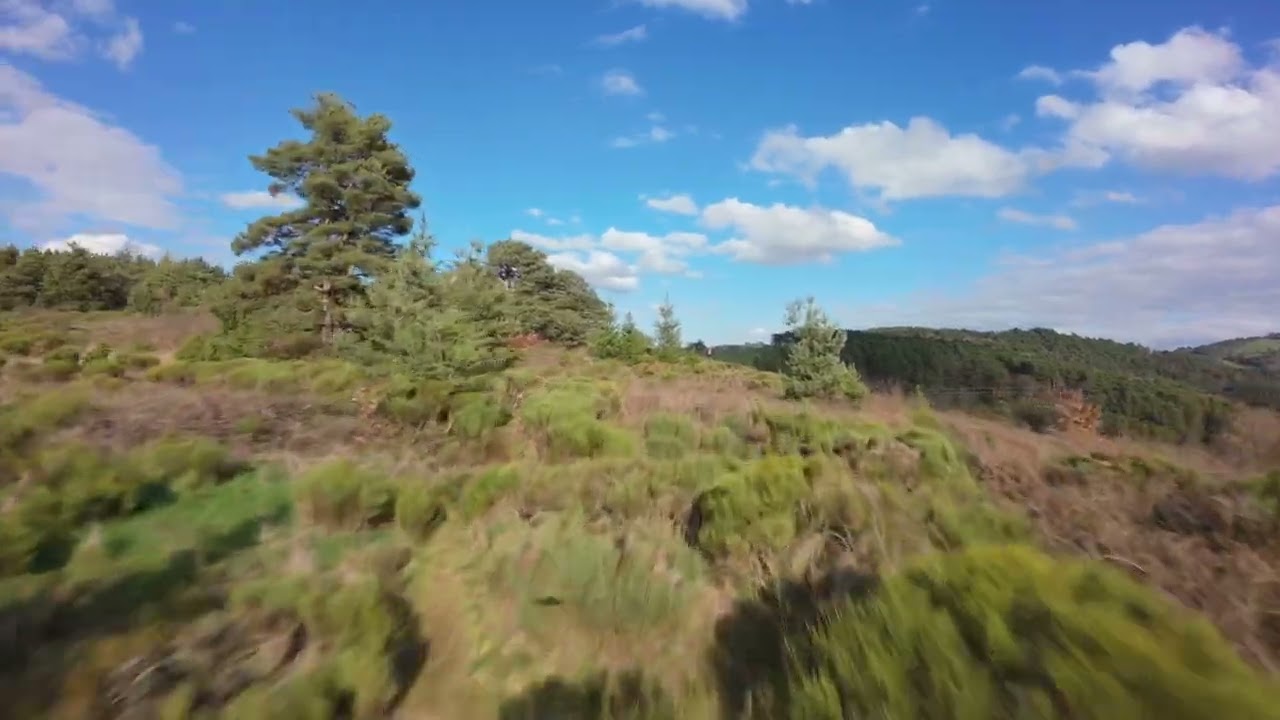 Vol FPV en forêt