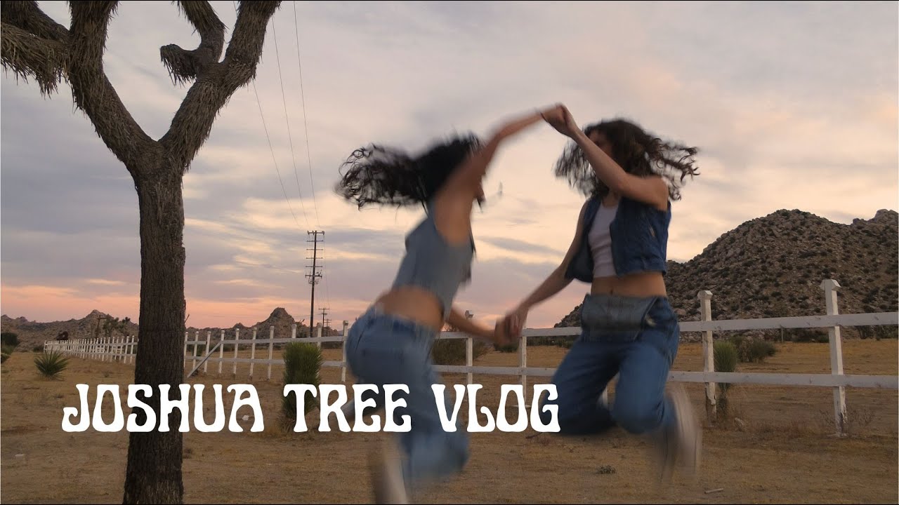 joshua tree vlog!