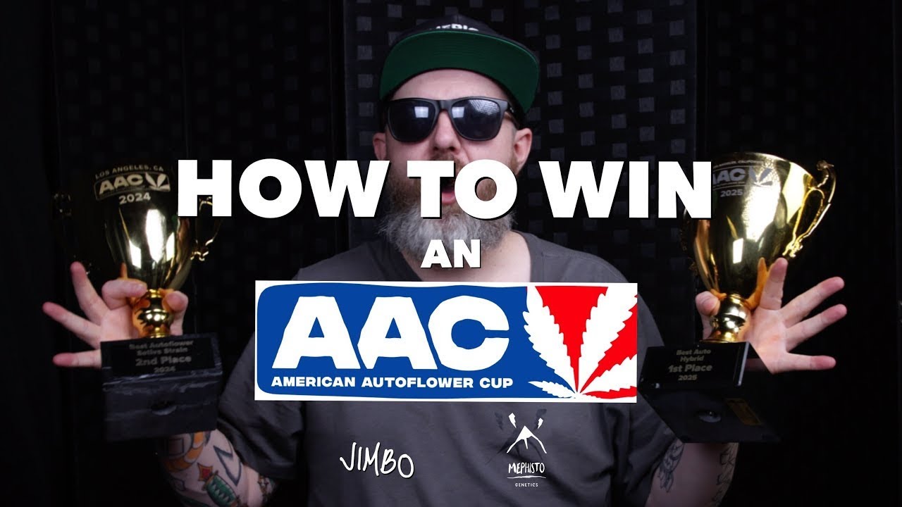 How to Win an American Autoflower Cup