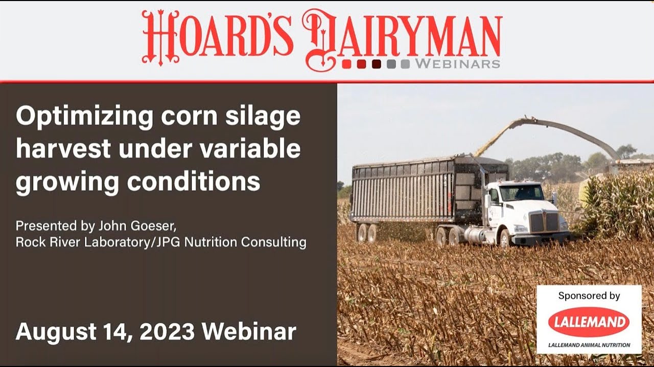 Optimizing corn silage harvest under variable growing conditions