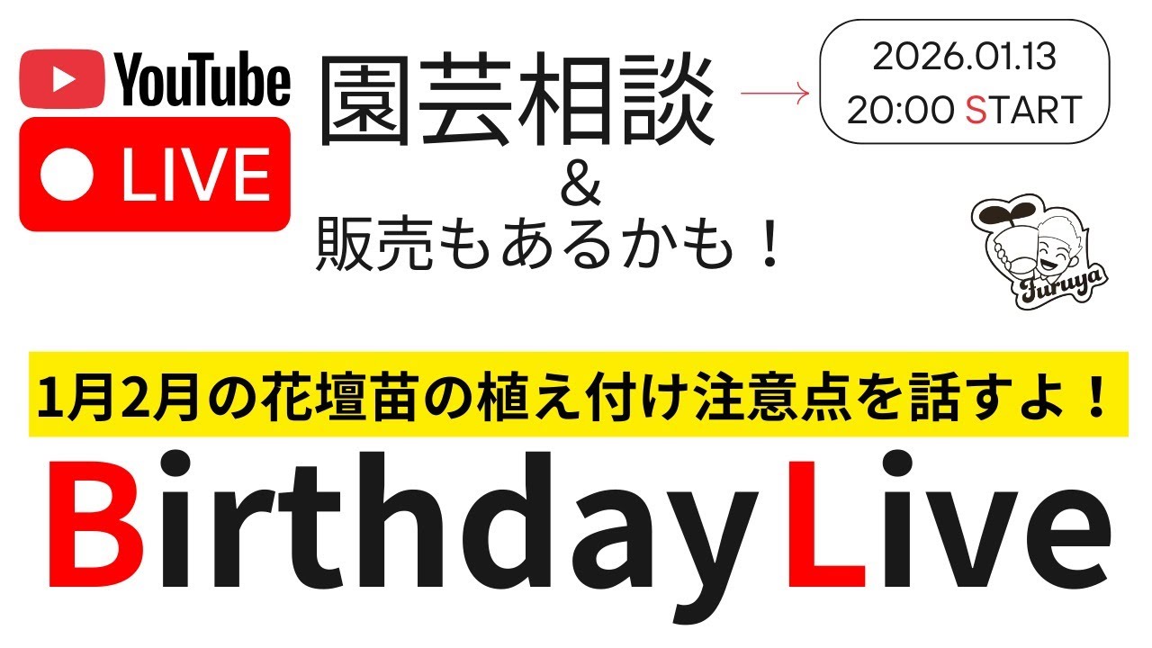 【20時〜Birthday Live】感謝の気持ちを込めて「1月2月の花壇苗 植え付け成功のコツ！」をお話しします！