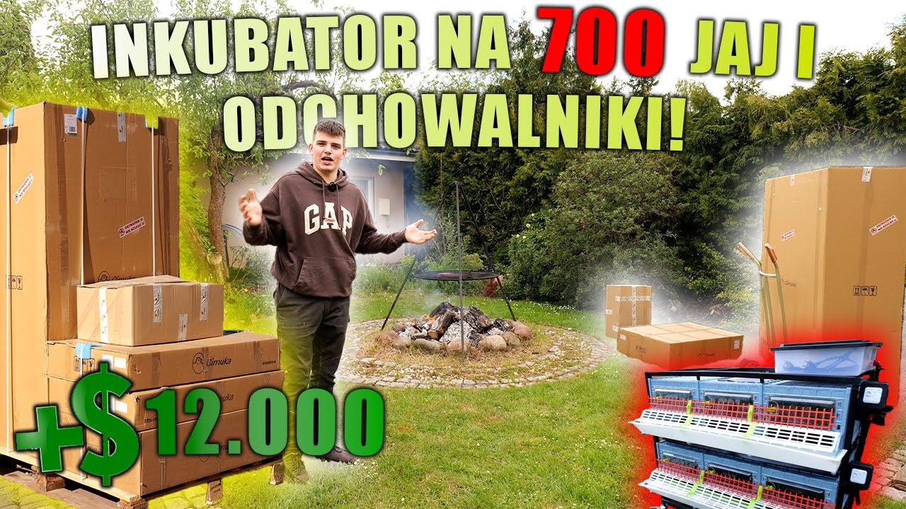 INUKBATOR I ODCHOWALNIKI za 12 tysięcy dla Piskląt!!! - Unboxing