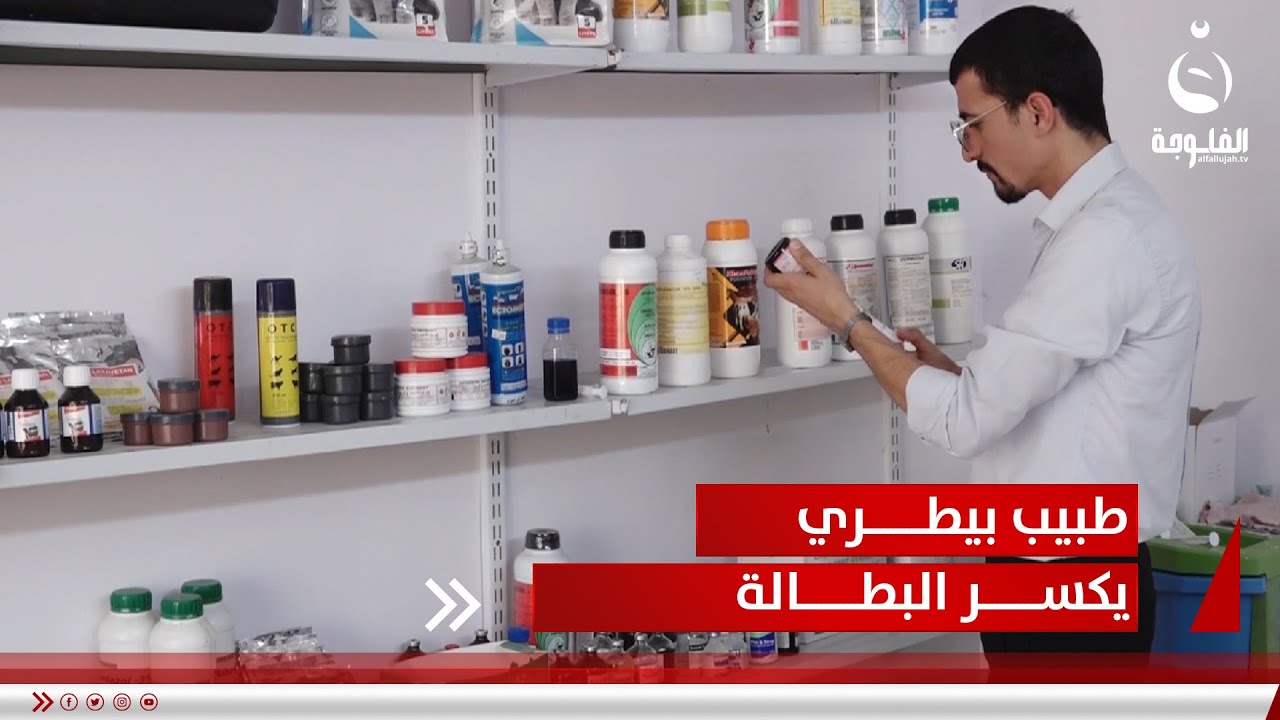 طبيب بيطري يكسر البطالة بالتجوال بين القرى والأرياف | تقرير: أحمد ناجي