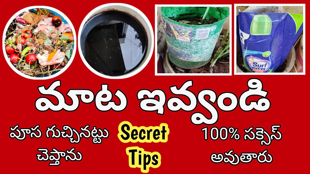 ఇంతవరకు ఎవరు చెప్పని చిట్కాలు|how to make a kitchen waste compost @MokkalathoManam #how #garden