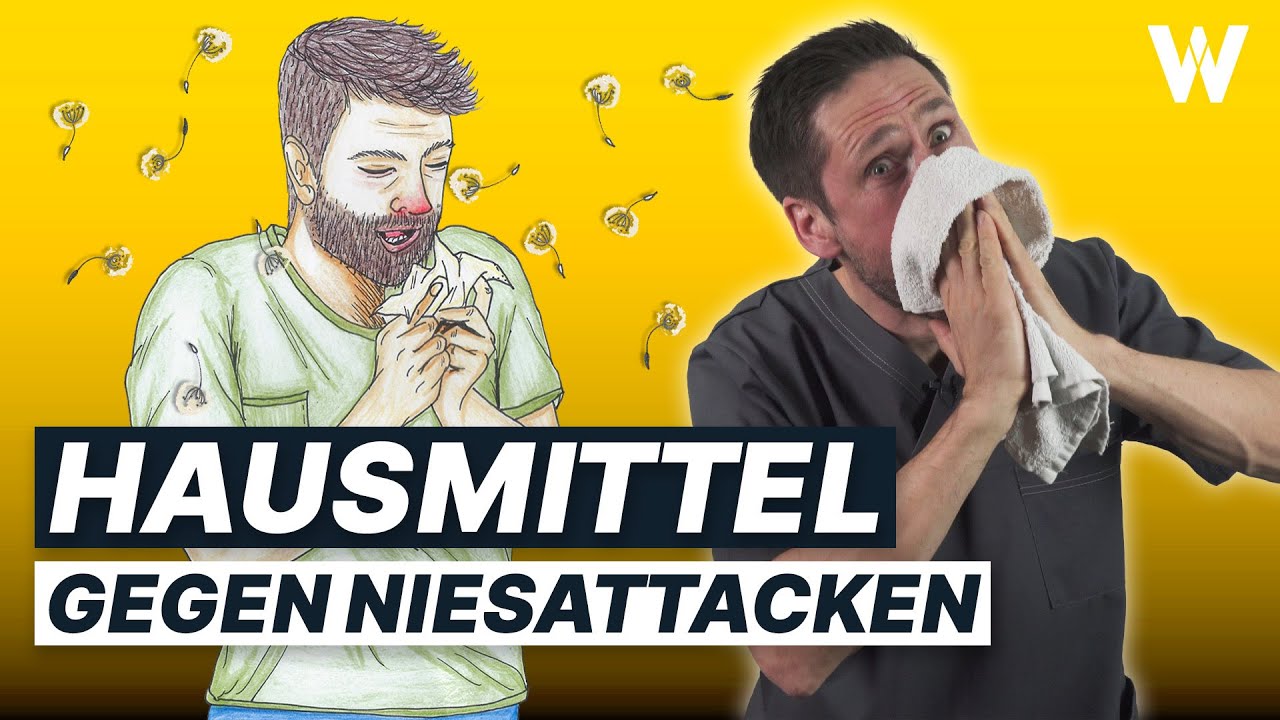 Stop deine Allergie: Diese Hausmittel helfen mir! Weniger Niesen, Kratzen, Jucken