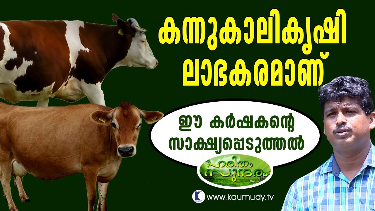 Bovine farming is profitable | Haritham Sundaram EP 133 | Kaumudy TV