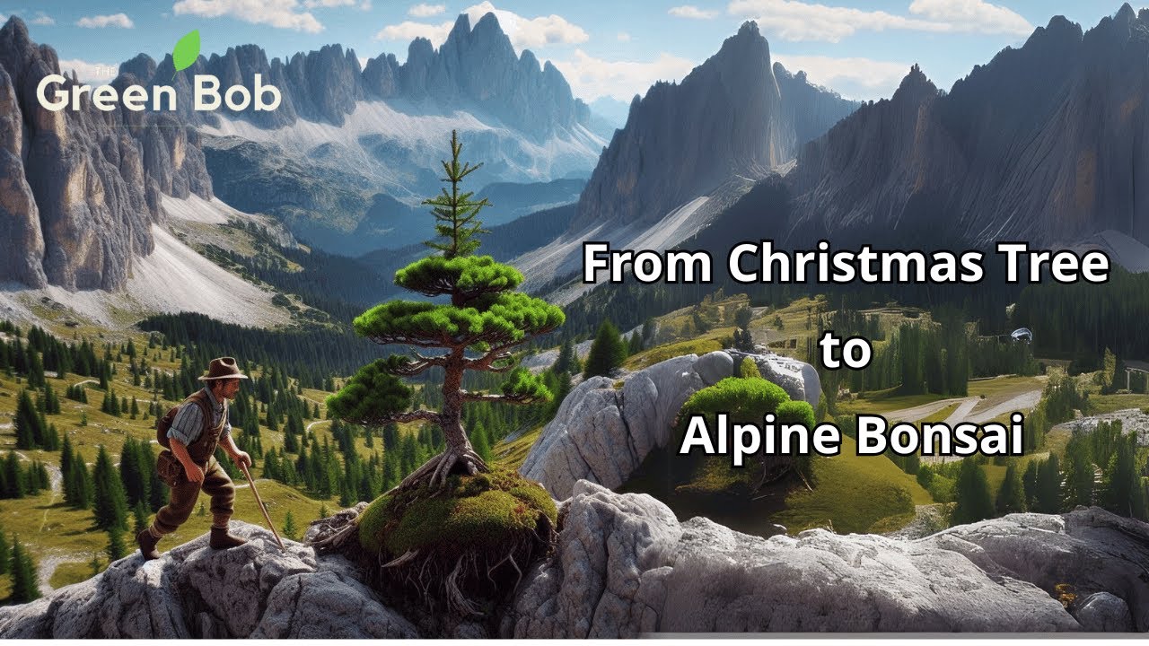 Transforming a Tiny Fir into a Wonderful Bonsai Alpine Landscape | Step-by-Step