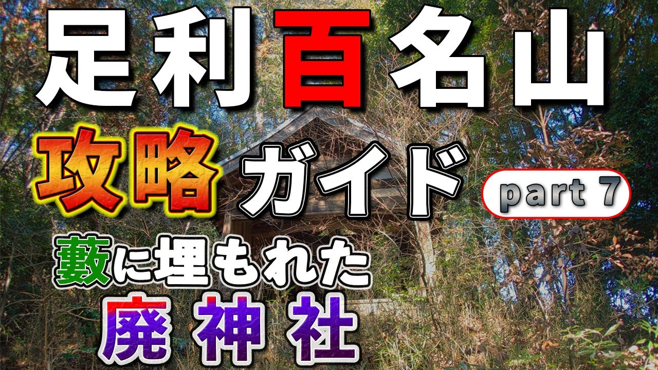 【足利百名山 part７】 「えっ？廃神社の裏側？ 」【藪まみれ攻略！】