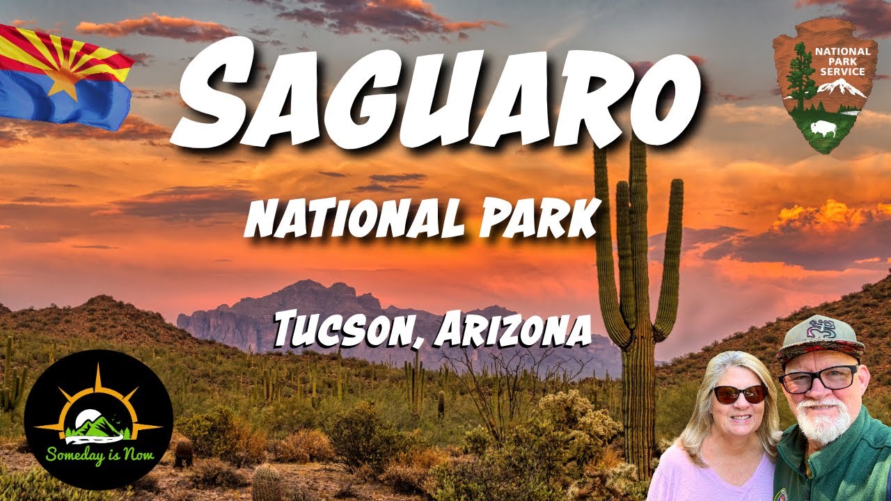 We Found the Strangest Cactus in Saguaro National Park!