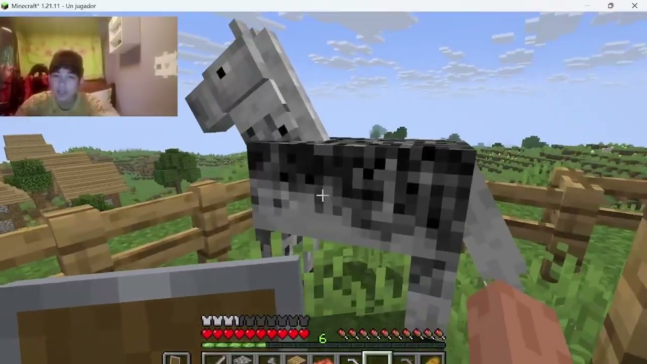 minecraf cap 2