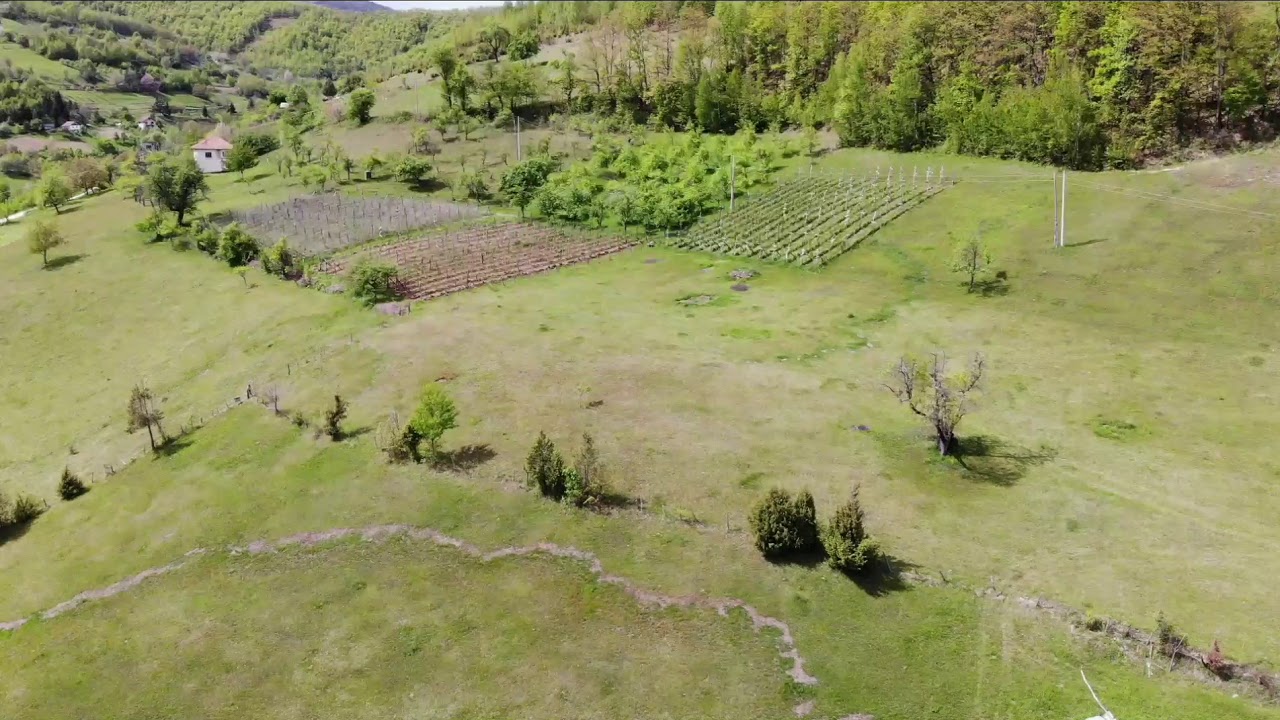 Brvine 1(Brodarevo)2019