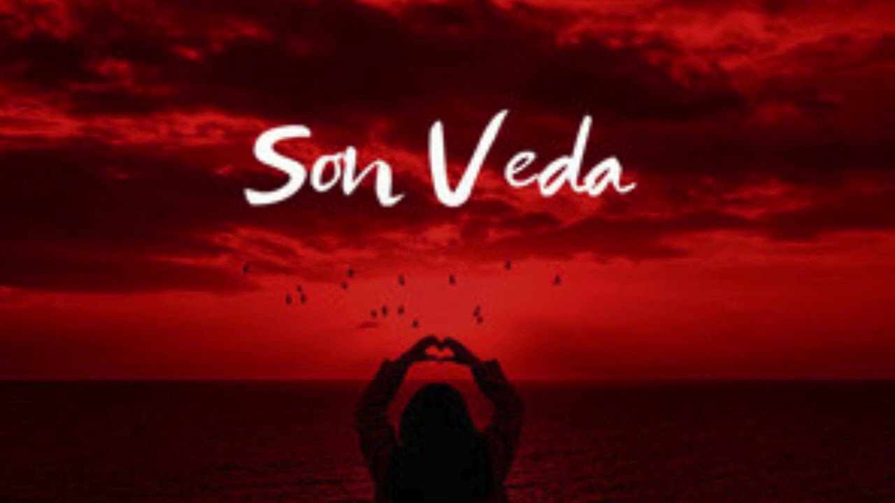 SON VEDA#müzik