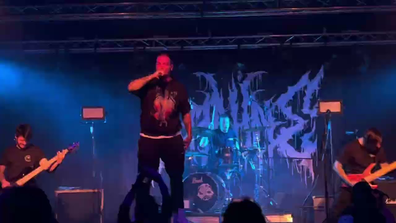 Damaged - Kanine ( Live @ Winteriip Festival , Tours ) 14.12.24