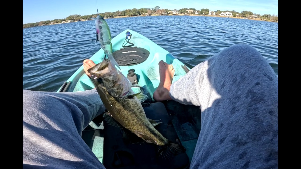 Proof that swimbaits catch numbers of bass.  Tiny Klash gets smoked on my local lake.