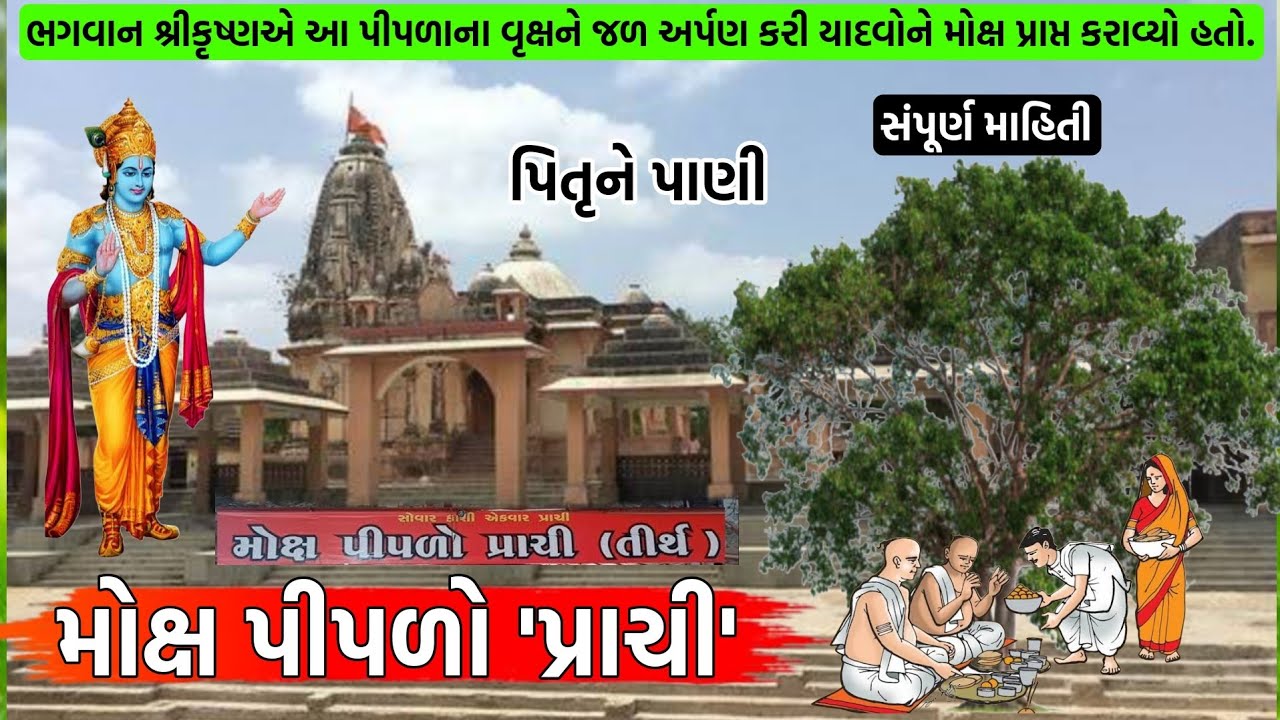 પ્રાચી પીપળો l પિતૃ શ્રાદ્ધ l પ્રાચીની સપૂર્ણ જાણકારી #pipalo #પ્રાચી #prachi l પ્રાચી નો ઈતિહાસ