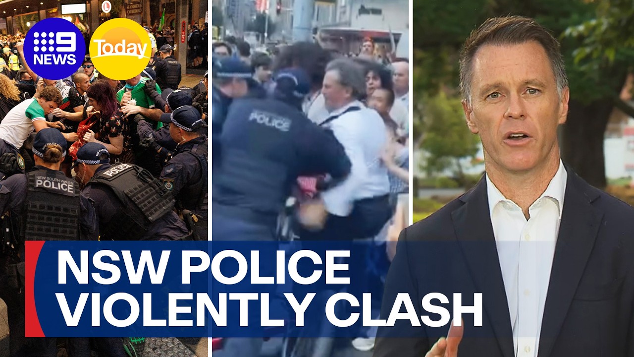 Police violently clash with protesters during anti-Israeli President rally | 9 News Australia