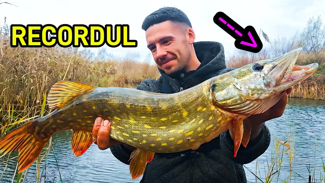 RECORD! AM PRINS STIUCA CEA MARE PE SALBATIC 
