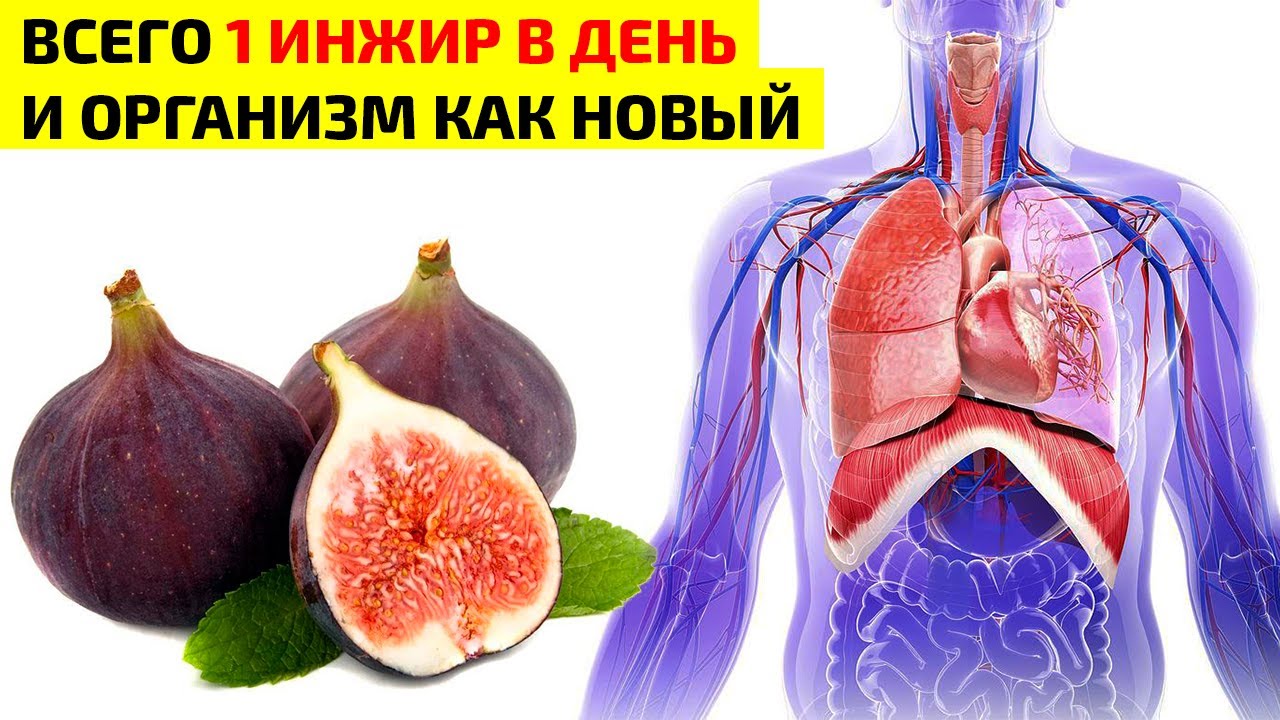 Даже 1 Инжир Вызывает Необратимые Последствия в Организме. Инжир Польза и Вред