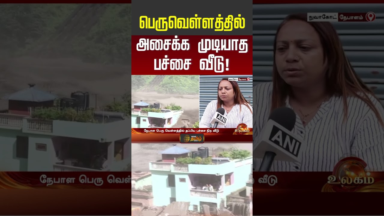 Nepal Flood Update | Viral Video | பெருவெள்ளத்தில் அசைக்க முடியாத பச்சை வீடு!! | #shorts