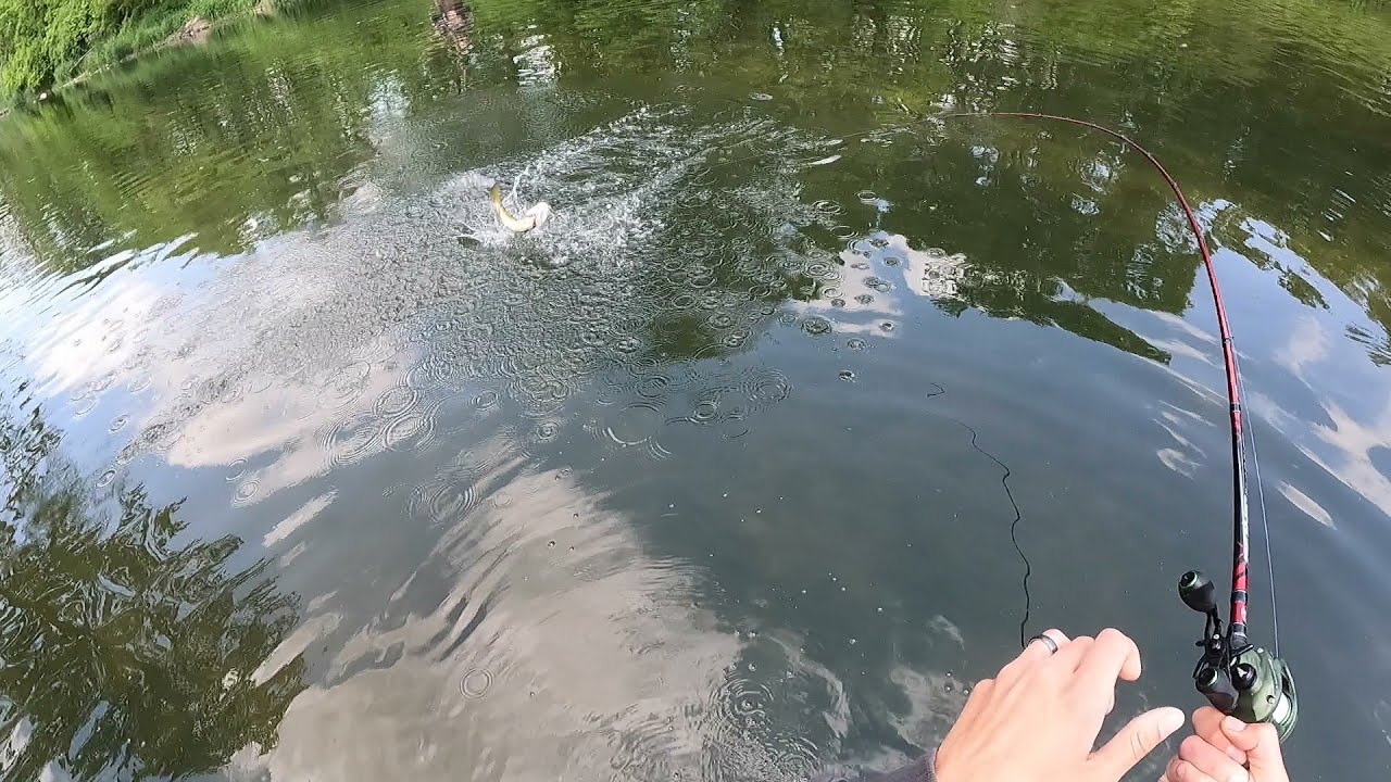 Kishwaukee River Smallmouth Bass Fishing SLAM Fest !
