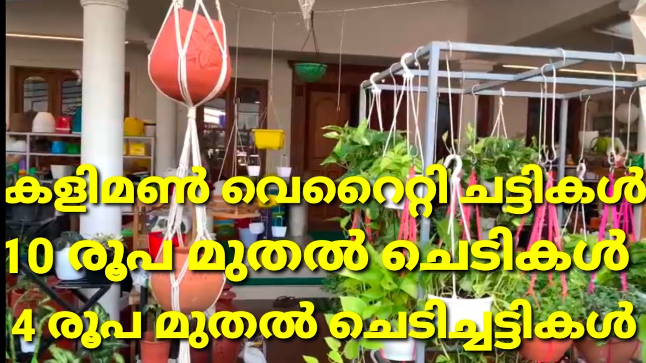 #MWorld മണ്ണുത്തിയേക്കാൾ വിലക്കുറവിൽ ചെടികൾ ലഭിക്കുന്നു | കളിമൺ ചെടിച്ചട്ടികൾ | Whole Sale &  Retail