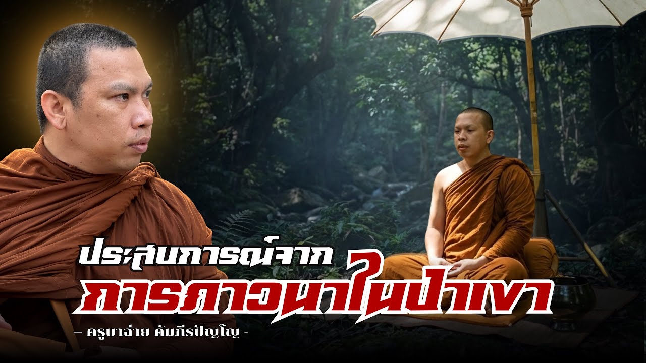 ประสบการณ์ จากการภาวนาในป่าเขา #ครูบาฉ่ายคัมภีรปัญโญ  #พระสิ้นคิด 06/02/66