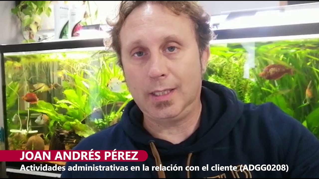 Joan Andrés Perez | Actividades administrativas en la relación con el cliente (ADGG0208)