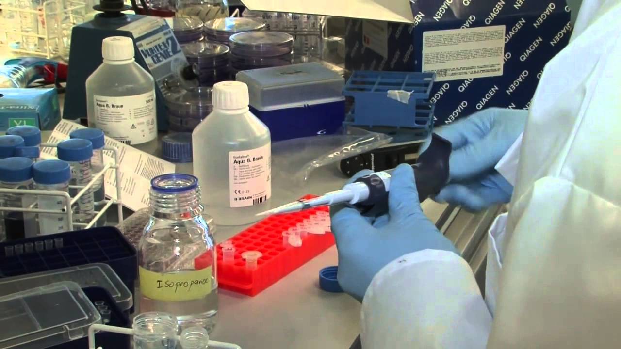 Netherlands Cancer Institute