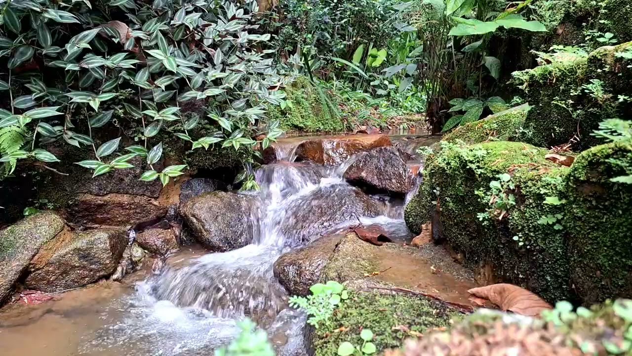 ASMR - SMALL RELAXING WATERFALL