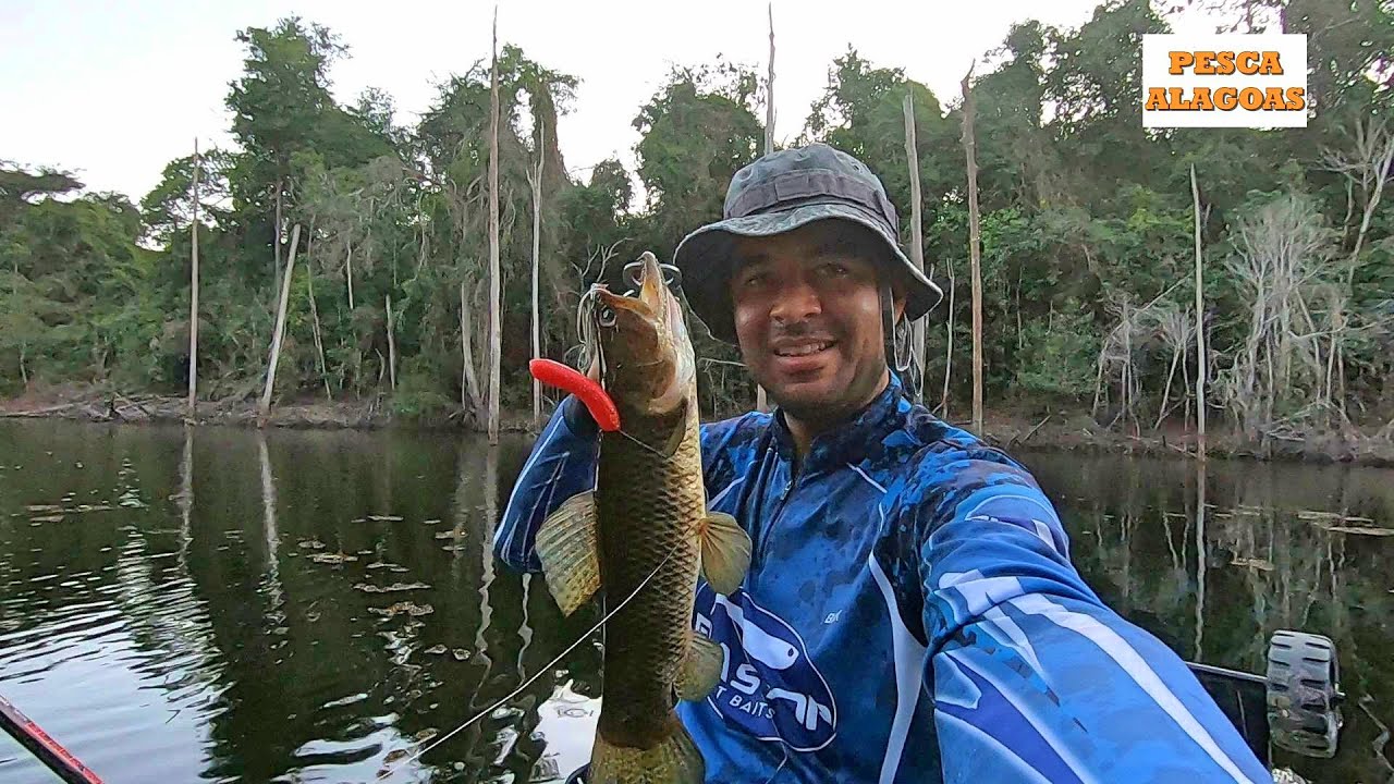 A ISCA SECRETA para Pescar TRAÍRA NA SUPERFÍCIE que Ninguém Conta