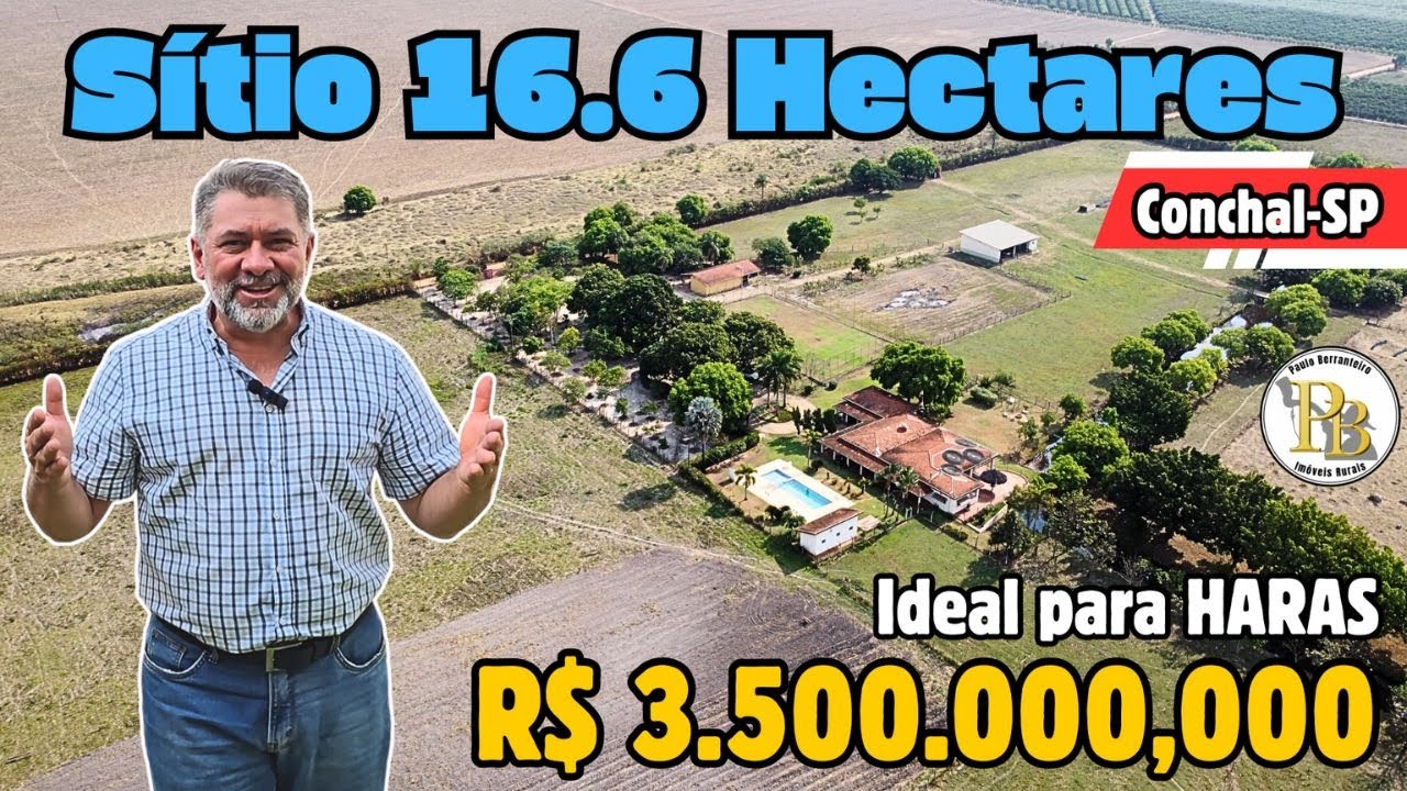 SÍTIO 16,6 HECTARES EM CONCHAL , COM CASA  PISCINA , MUITA ÁGUA