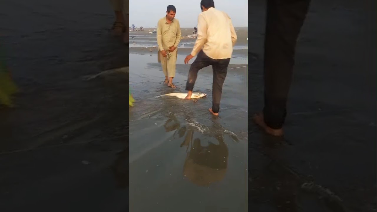 29,9,2025 head baloki darya ravi