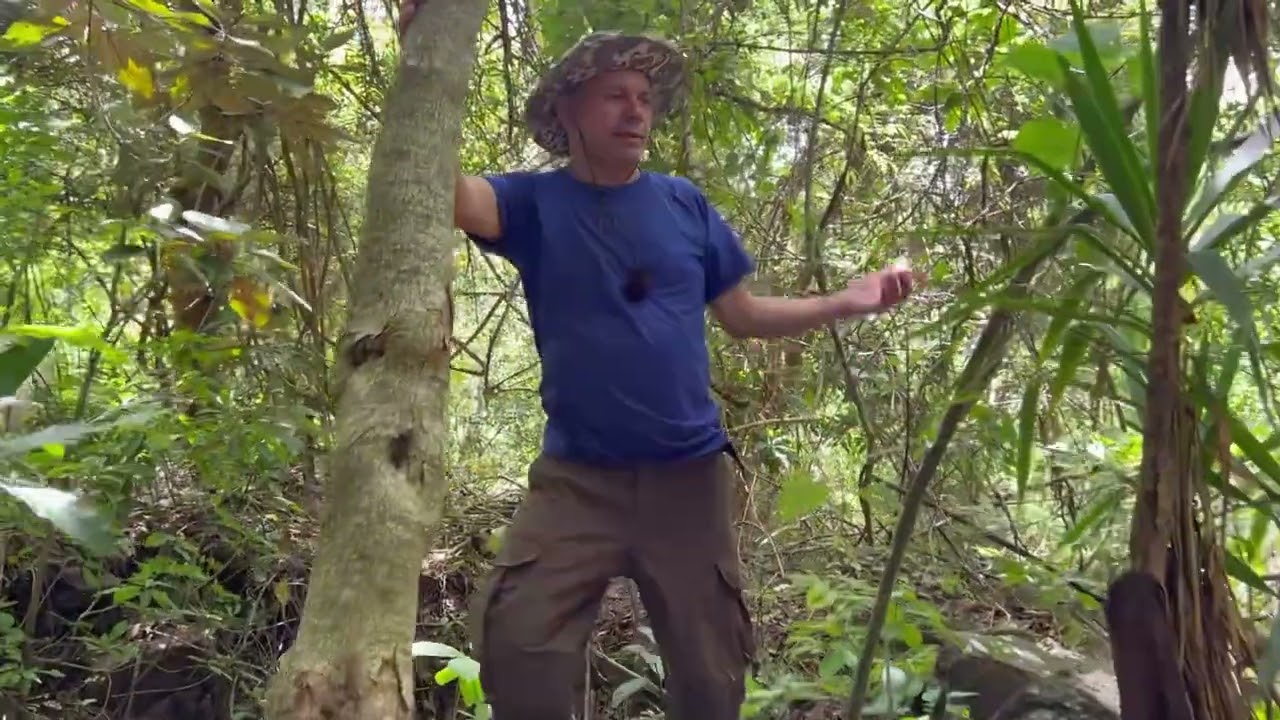 EL PRIMER CAMPAMENTO QUE LLEGUÉ CERRÓ DE GUAZAPA SUR